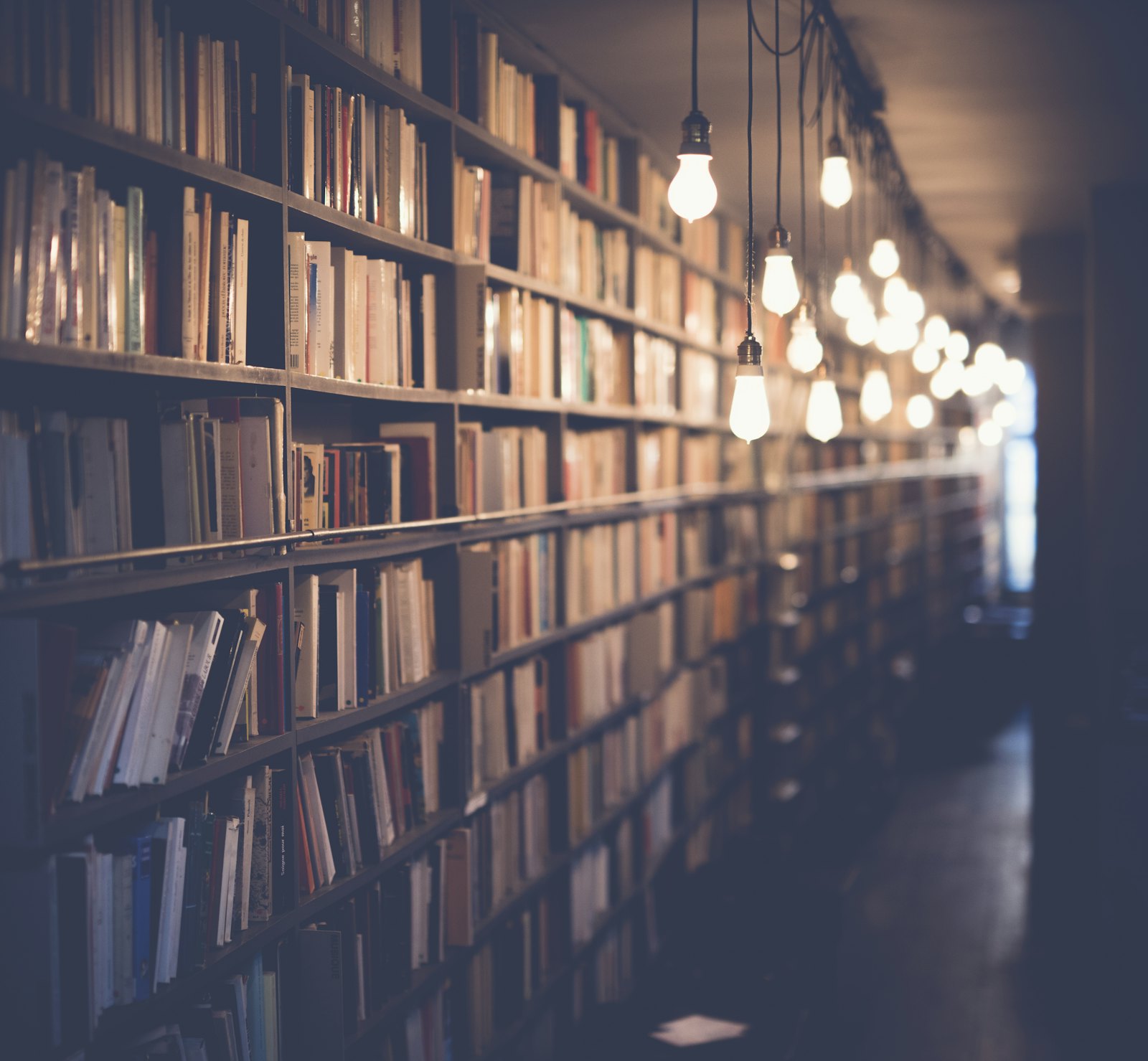 Warm library aisle lined with full bookshelves under rows of hanging light bulbs
