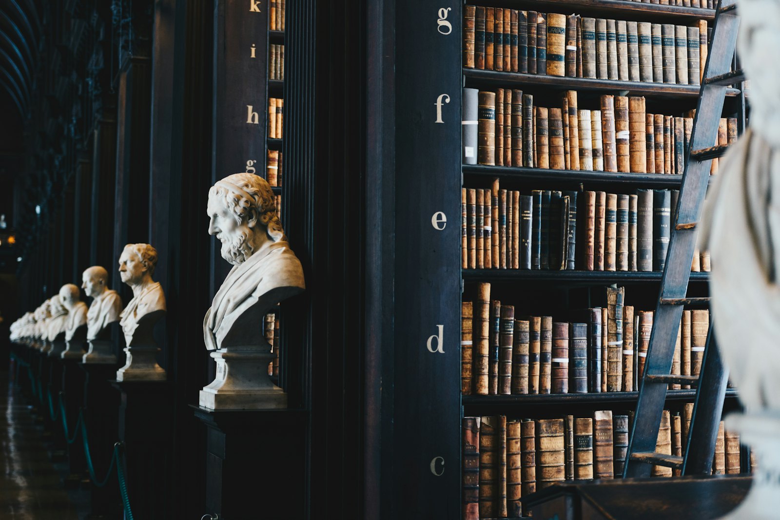 Historic law library with tall shelves of leather-bound volumes and marble busts